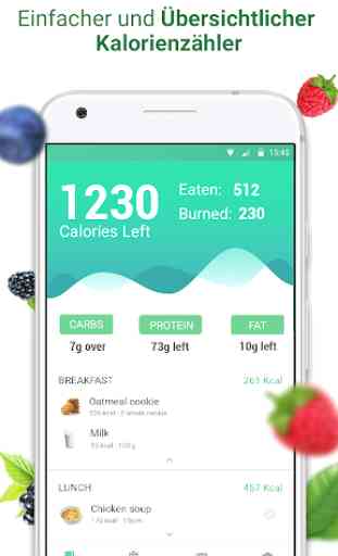 Kalorienzähler — Diät, Ernährung, Gewichtsverlust 1