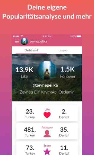 Liker Analyzer Instagram Analyse & Assistent 1