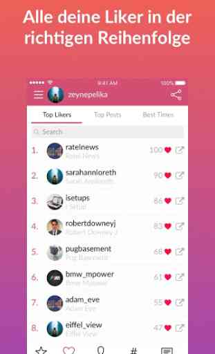 Liker Analyzer Instagram Analyse & Assistent 4