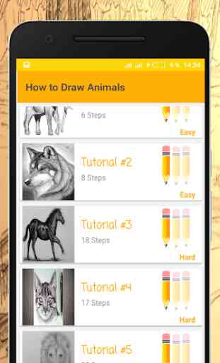 Wie Tiere Zeichnen 1
