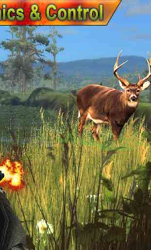 Wild Deer Hunter Adventure 2019 3