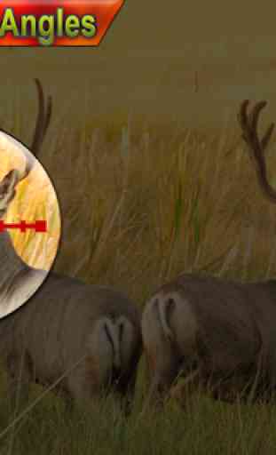 Wild Deer Hunter Adventure 2019 4