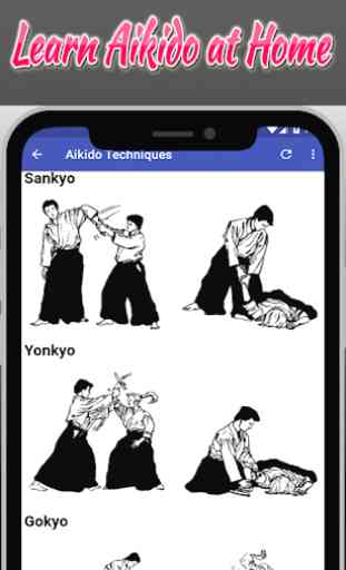 Aikido Training Guide 4