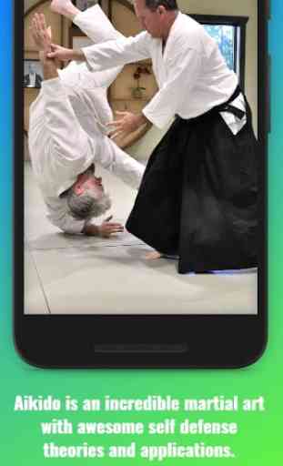 Aikido Training (Guide) 2