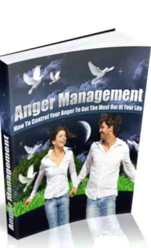 Anger Management 2