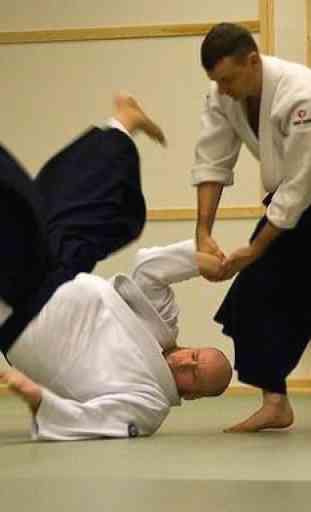 Best Aikido Technique 2