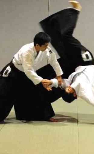 Best Aikido Technique 3