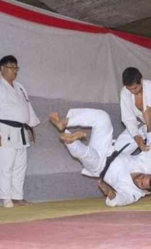 Best Aikido Technique 4