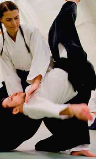 Erfahren aikido und Selbstverteidigung. Kampfkunst 1