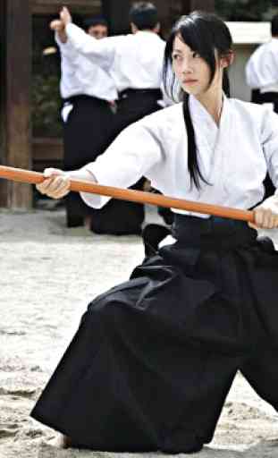 Erfahren aikido und Selbstverteidigung. Kampfkunst 2