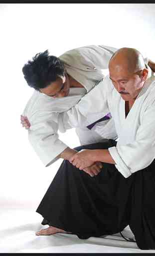 Erfahren aikido und Selbstverteidigung. Kampfkunst 4