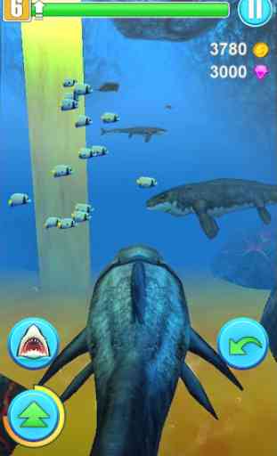 Haifisch Simulator 1