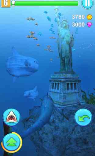 Haifisch Simulator 4
