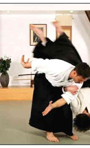 Lerne Aikido und Kampfsportarten 1