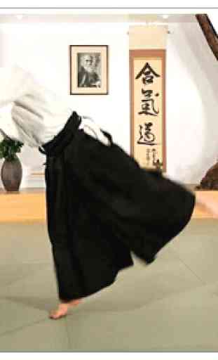 Lerne Aikido und Kampfsportarten 2