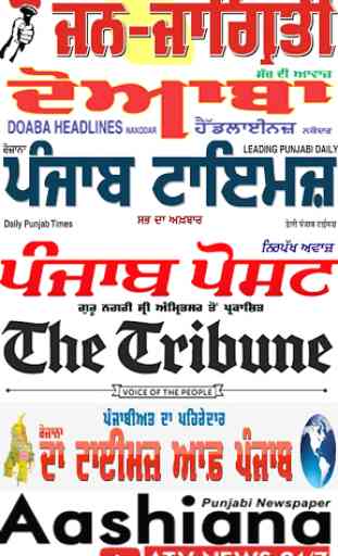 Punjabi NewsPaper - Web & E-Paper 2