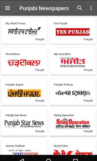 Punjabi Newspapers 3