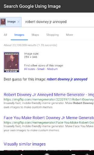 Search Google Using Image 4