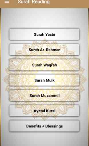 Surah Yasin,Ar-Rahman,Ayatul Kursi (Offline Audio) 2