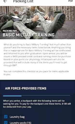 USAF Delayed Entry Program 4