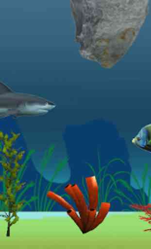 Wütender Hai Abenteuerspiel 2