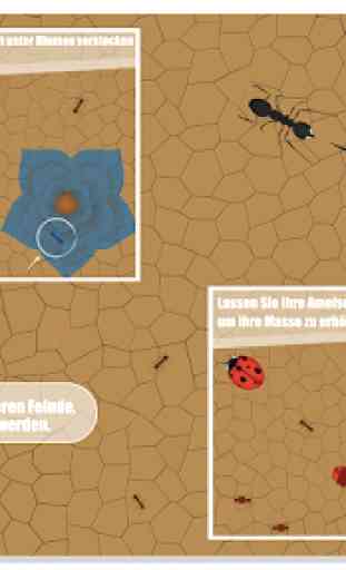Ameisen Evolution : Planet der schmackhaften Käfer 1