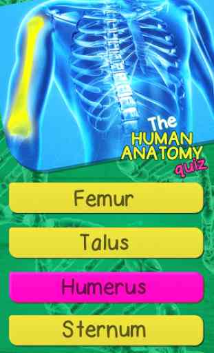 Anatomie Quiz Spiele - Anatomie Und Physiologie 1