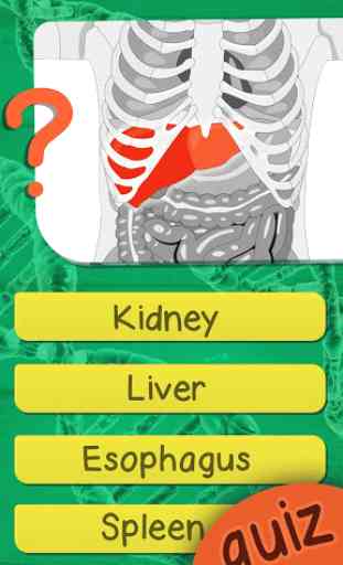Anatomie Quiz Spiele - Anatomie Und Physiologie 2