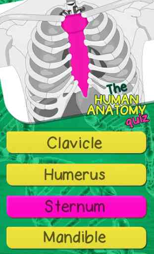 Anatomie Quiz Spiele - Anatomie Und Physiologie 4