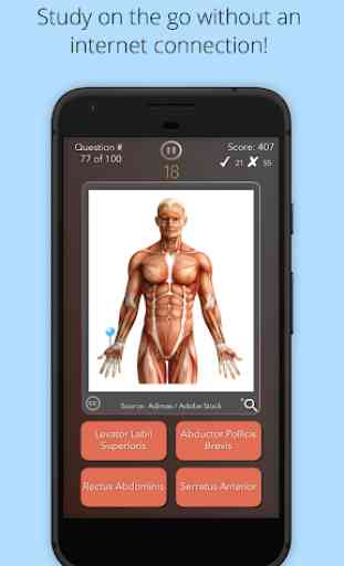 Anatomist - Anatomy Quiz Game 3