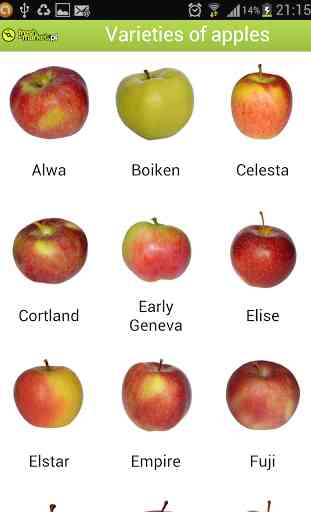 Apfelsorten 2