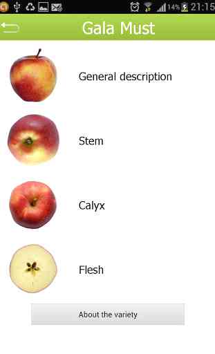 Apfelsorten 3