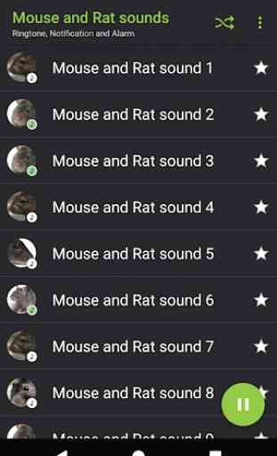 Appp.io - Maus und Ratte Klänge 2
