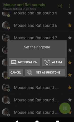 Appp.io - Maus und Ratte Klänge 4