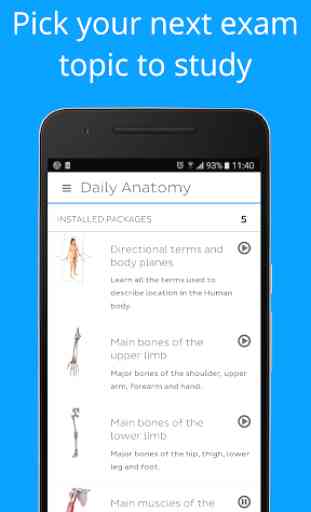 Daily Anatomy: Flashcard Quizzes to Learn Anatomy 1