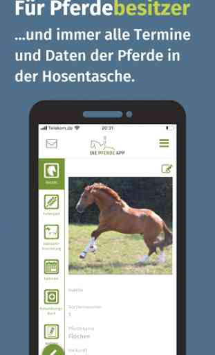 Die Pferde App 2