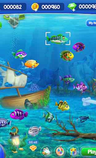 Fisch-Aquarium-Luftblasen-Welt 1