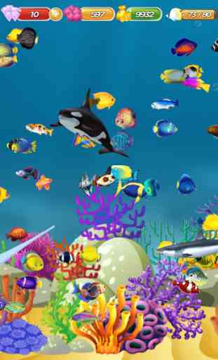 Fischzucht - Mein Aquarium 1