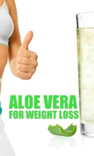 Health Benefits of Aloe Vera 1