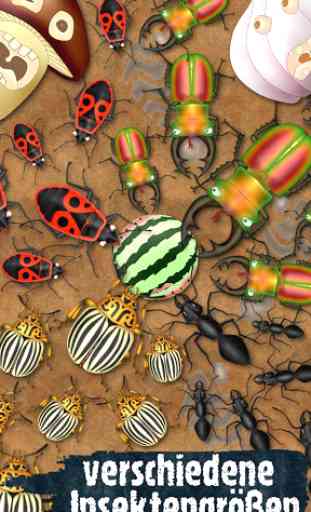 Hexapod ameisen quetscher insekten töten käfer 2