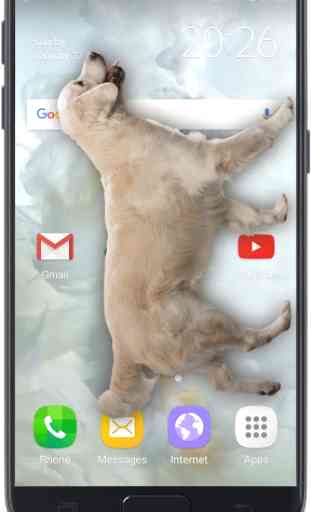 Hund auf Handy-Display: Wau wau Witz (Simulation) 1