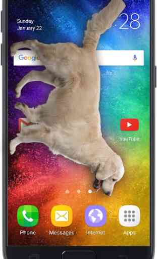 Hund auf Handy-Display: Wau wau Witz (Simulation) 3