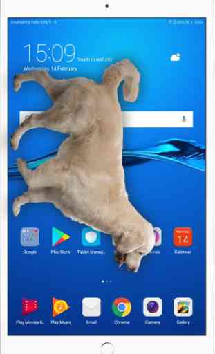 Hund auf Handy-Display: Wau wau Witz (Simulation) 4