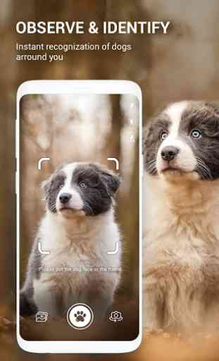 Hundebuch: Rasse Kennung, Hund Scanner, Foto-App 1
