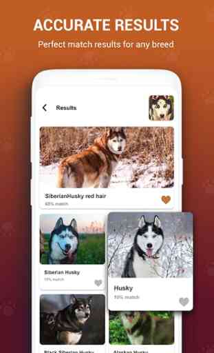 Hundebuch: Rasse Kennung, Hund Scanner, Foto-App 2