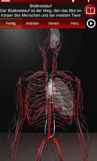 Kreislaufsystem in 3D (Anatomie) 1