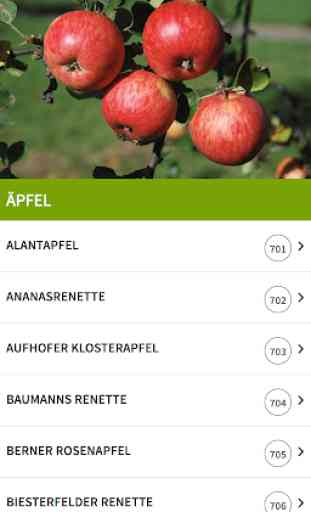 Kürnbacher Streuobst-App 3