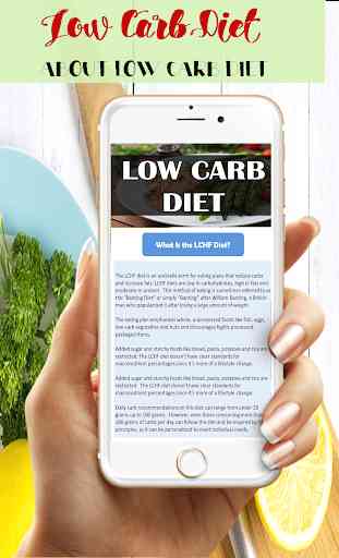 Low Carb Diet Plan Beginner 1