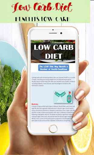 Low Carb Diet Plan Beginner 2