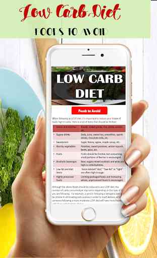 Low Carb Diet Plan Beginner 3